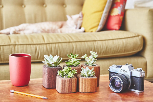 Landscape Image Product